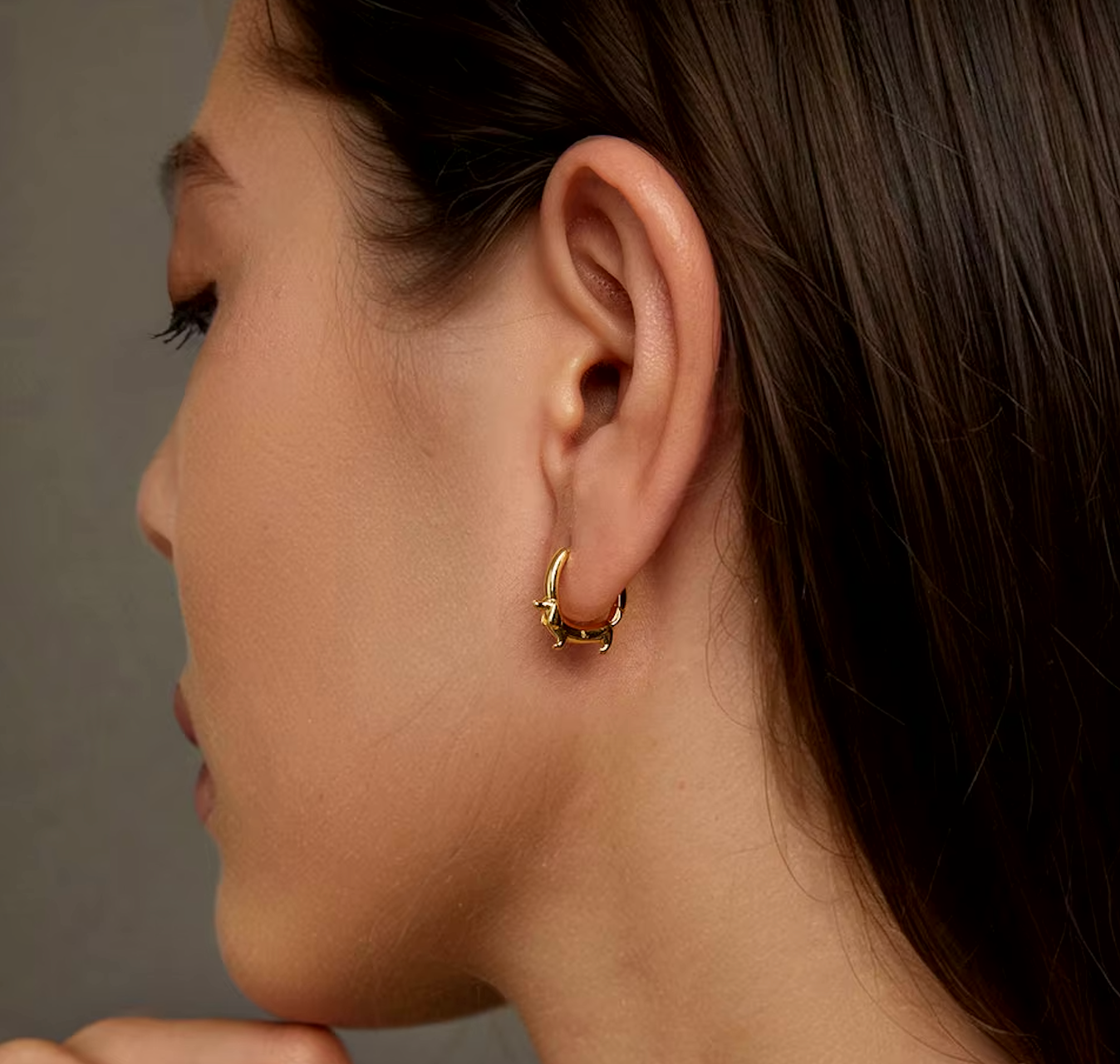 דאצ'י™ | עגילי כלב אהובים